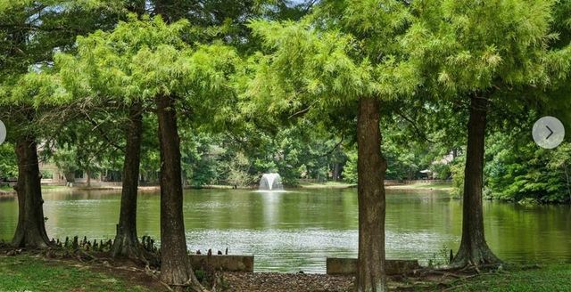 115 E Pathfinders Circle, The Woodlands, TX 77381