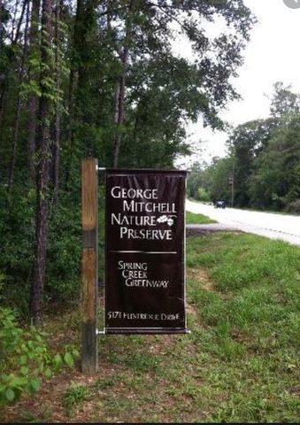 115 E Pathfinders Circle, The Woodlands, TX 77381