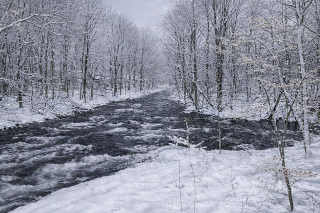 16467 Prairie Brook Street, Prairie Ronde Twp, MI 49087