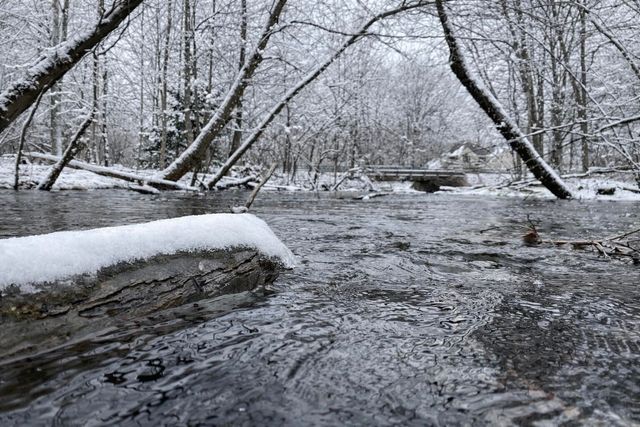 16467 Prairie Brook Street, Prairie Ronde Twp, MI 49087