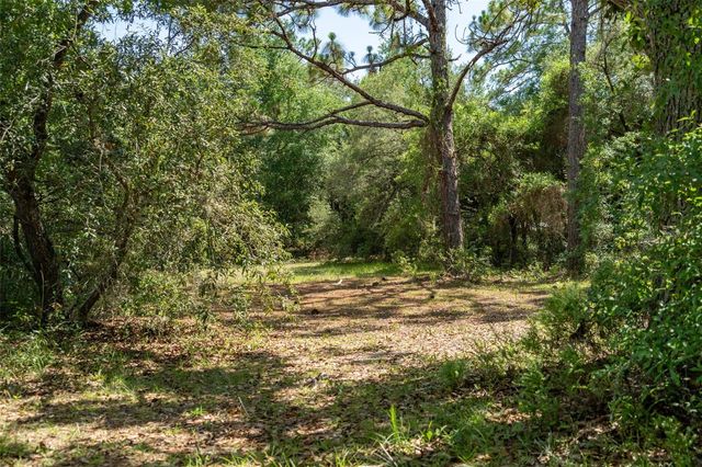 4695 N PINE VALLEY LOOP, Lecanto, FL 34461