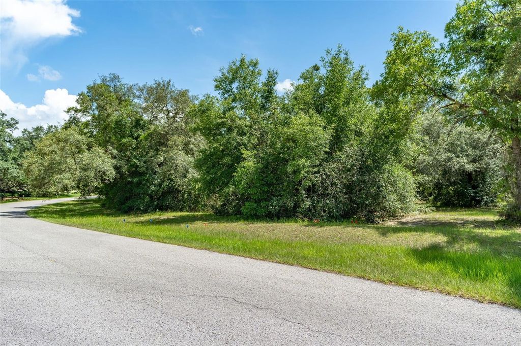 4695 N PINE VALLEY LOOP, Lecanto, FL 34461