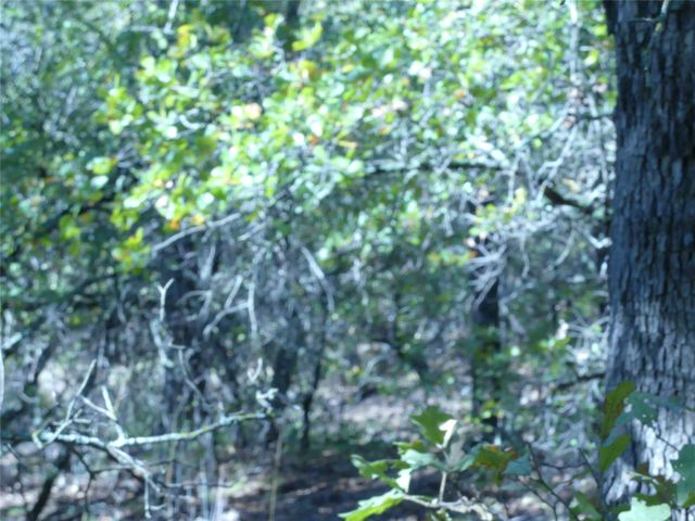 1746 Dog Kennel Road, Sunset, TX 76270