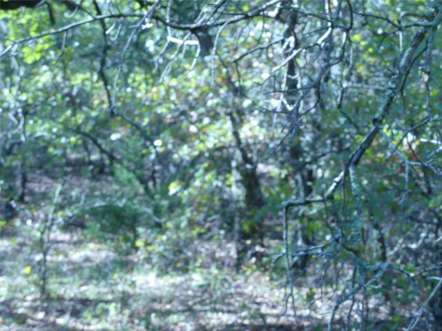 1746 Dog Kennel Road, Sunset, TX 76270