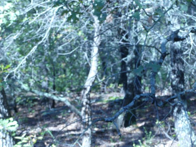 1746 Dog Kennel Road, Sunset, TX 76270