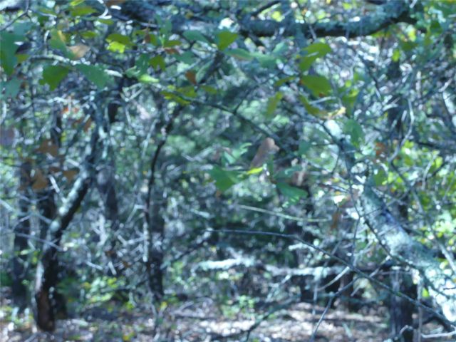 1746 Dog Kennel Road, Sunset, TX 76270