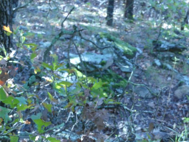 1746 Dog Kennel Road, Sunset, TX 76270