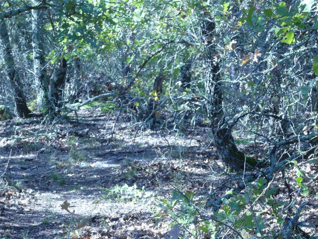 1746 Dog Kennel Road, Sunset, TX 76270