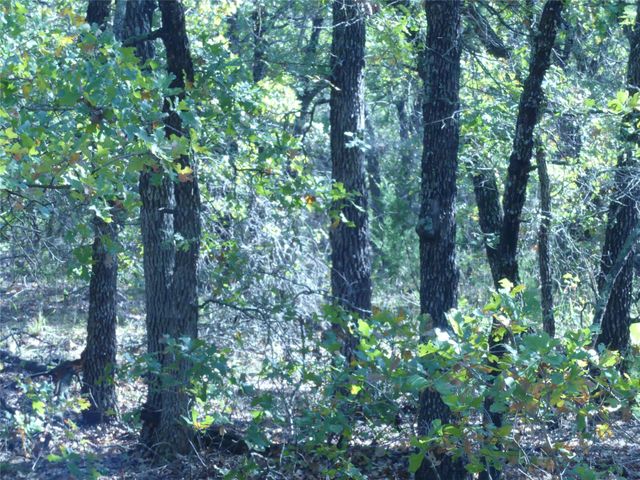 1746 Dog Kennel Road, Sunset, TX 76270