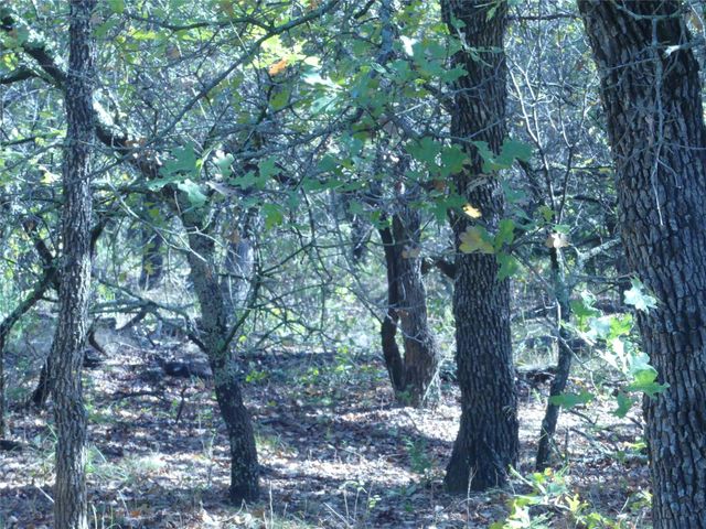 1746 Dog Kennel Road, Sunset, TX 76270