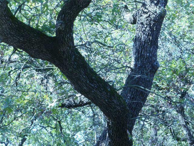 1746 Dog Kennel Road, Sunset, TX 76270