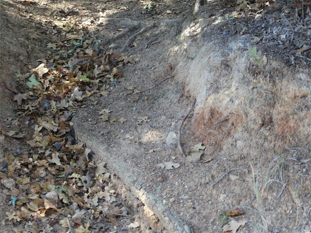 1746 Dog Kennel Road, Sunset, TX 76270