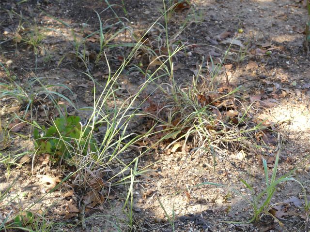 1746 Dog Kennel Road, Sunset, TX 76270