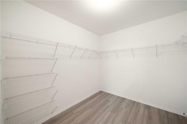 1600 Big Thicket DR, Cedar Park, TX 78613