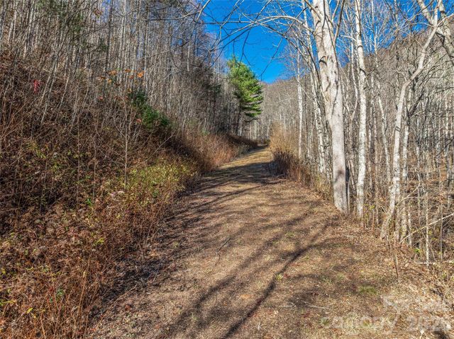 TBD Walnut Creek Road, Marshall, NC 28753