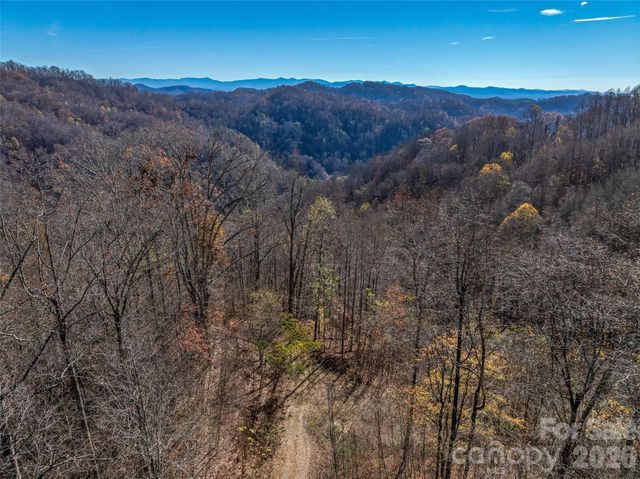 TBD Walnut Creek Road, Marshall, NC 28753