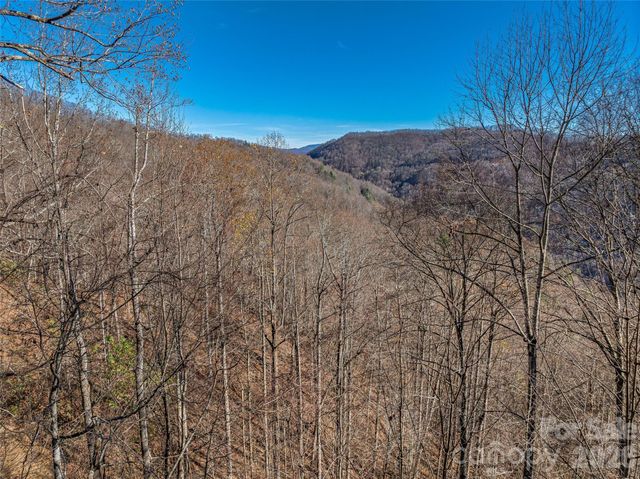TBD Walnut Creek Road, Marshall, NC 28753
