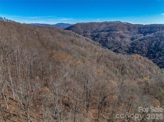 TBD Walnut Creek Road, Marshall, NC 28753