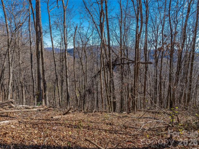 TBD Walnut Creek Road, Marshall, NC 28753