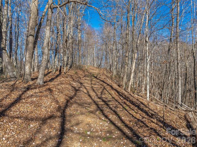 TBD Walnut Creek Road, Marshall, NC 28753