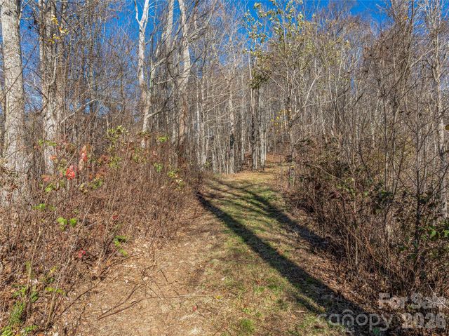 TBD Walnut Creek Road, Marshall, NC 28753