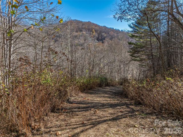 TBD Walnut Creek Road, Marshall, NC 28753