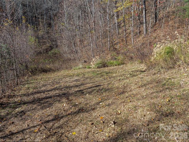 TBD Walnut Creek Road, Marshall, NC 28753