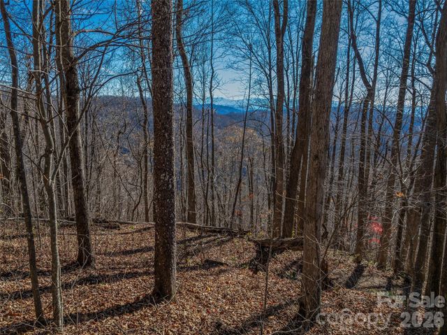 TBD Walnut Creek Road, Marshall, NC 28753