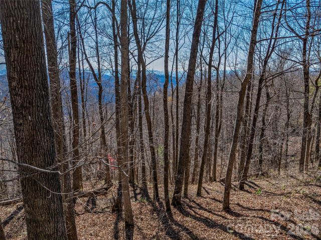 TBD Walnut Creek Road, Marshall, NC 28753