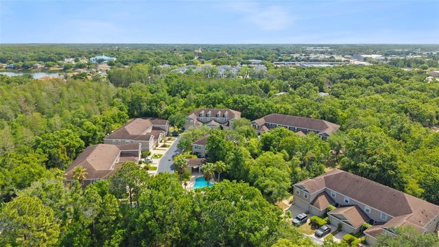 6220 DUCK KEY COURT, Tampa, FL 33625