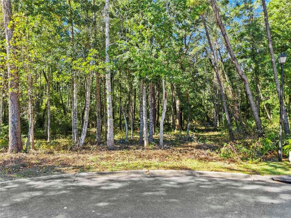 0 Saddlewood Lane, Fairhope, AL 36532 — photo 3