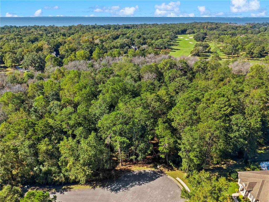 0 Saddlewood Lane, Fairhope, AL 36532 — photo 4