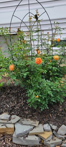 2227 Dale View Dr, Antioch, TN 37013