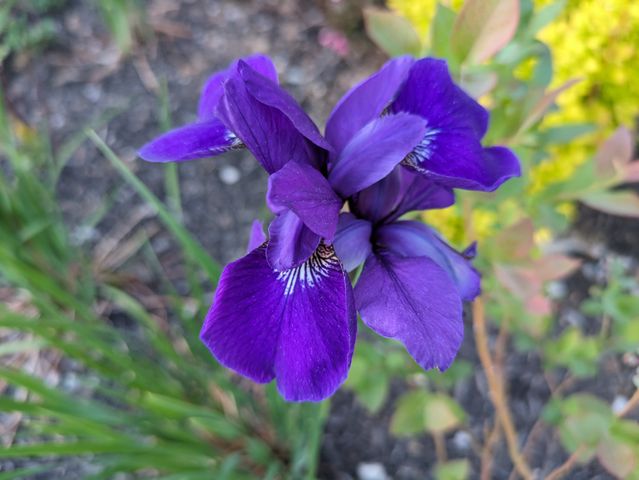 2227 Dale View Dr, Antioch, TN 37013