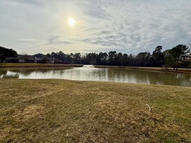 7207 Alava Drive, Magnolia, TX 77354