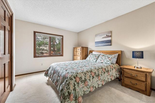 16065 Double Eagle Drive B, Morrison, CO 80465