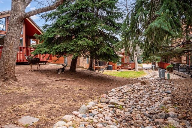 16065 Double Eagle Drive B, Morrison, CO 80465