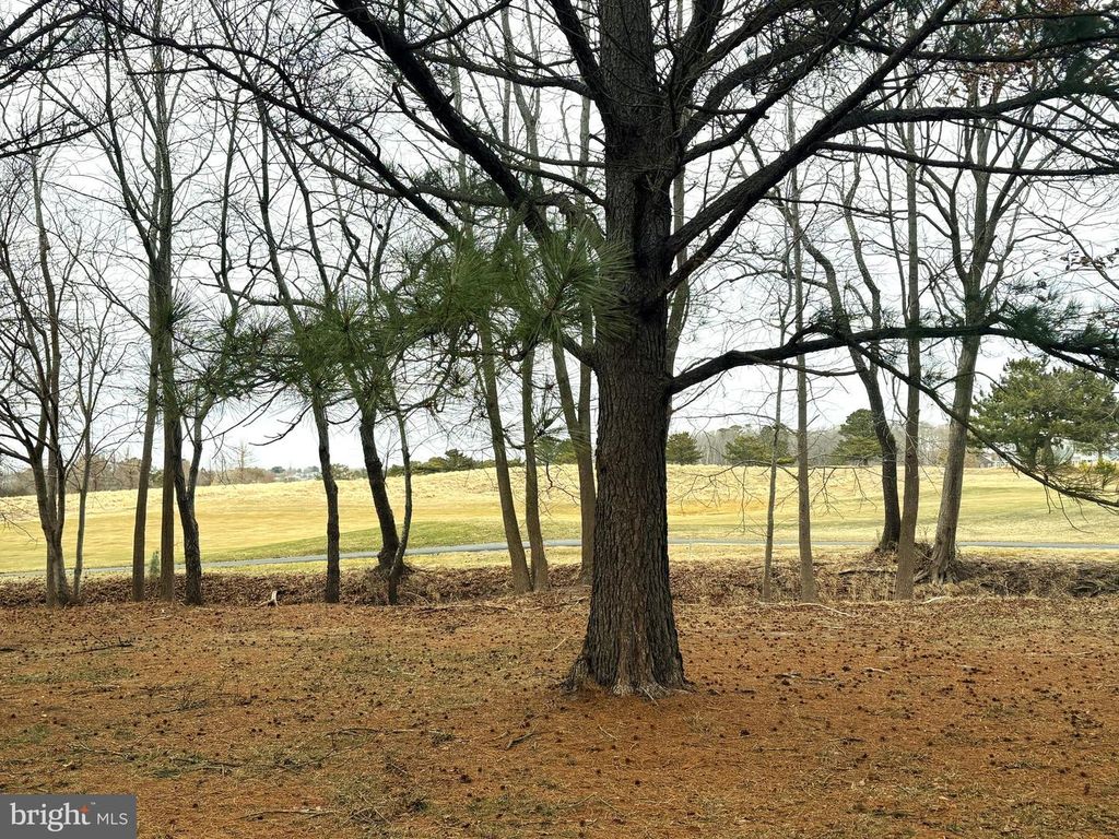 139 WILLOW OAK AVE, Ocean View, DE 19970