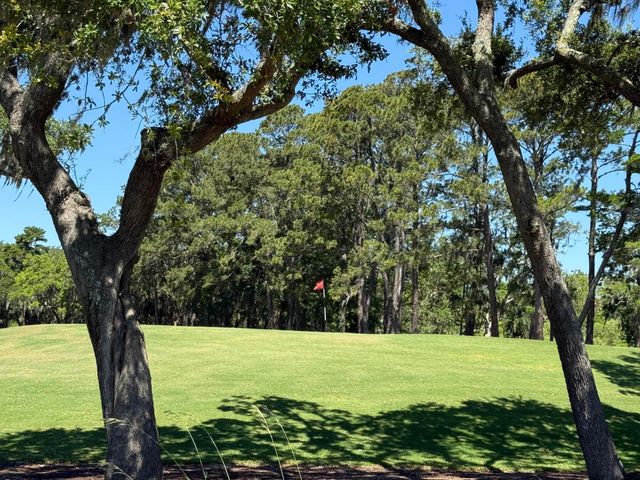 3934 Gnarled Oaks Lane, Johns Island, SC 29455