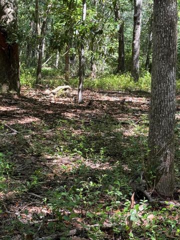 3934 Gnarled Oaks Lane, Johns Island, SC 29455
