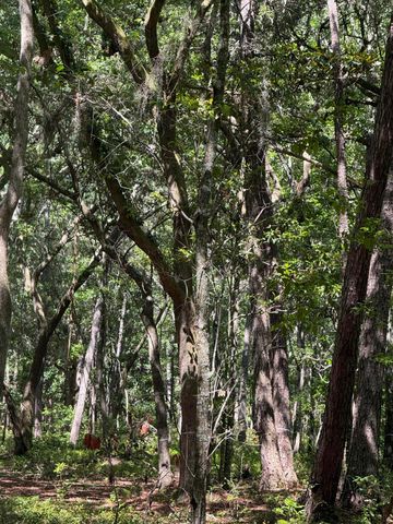 3934 Gnarled Oaks Lane, Johns Island, SC 29455
