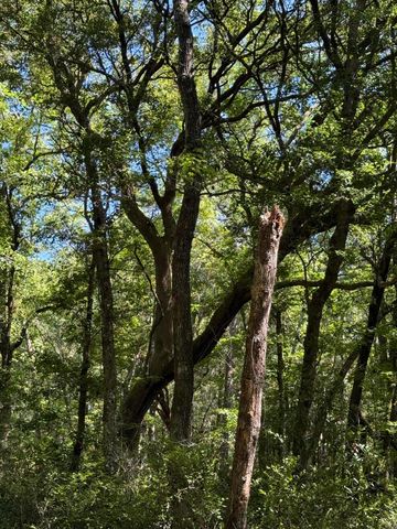 3934 Gnarled Oaks Lane, Johns Island, SC 29455