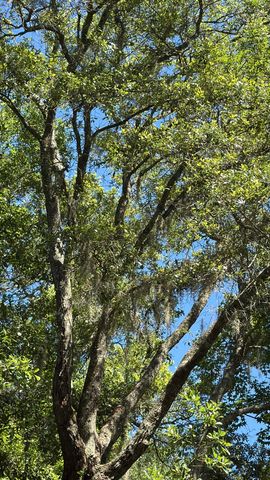 3934 Gnarled Oaks Lane, Johns Island, SC 29455