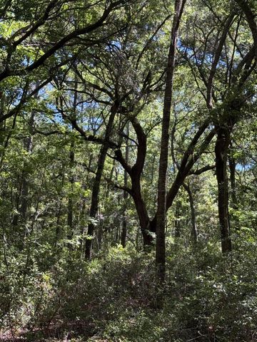 3934 Gnarled Oaks Lane, Johns Island, SC 29455