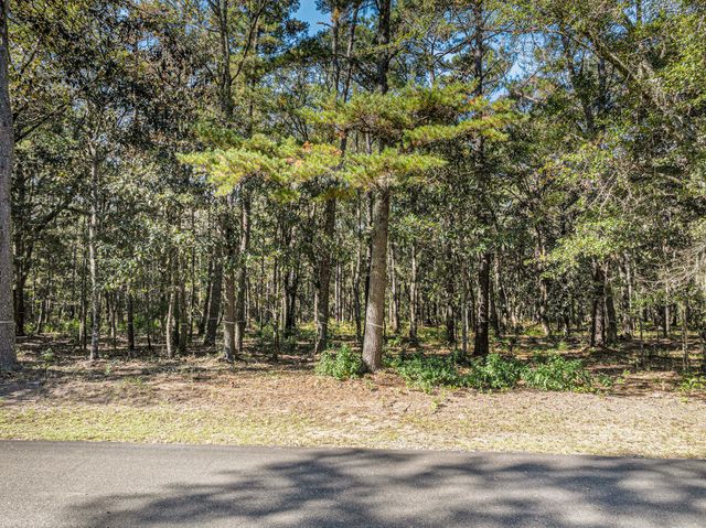 3934 Gnarled Oaks Lane, Johns Island, SC 29455