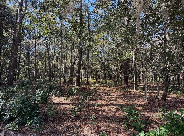3934 Gnarled Oaks Lane, Johns Island, SC 29455