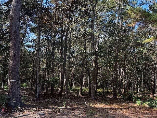 3934 Gnarled Oaks Lane, Johns Island, SC 29455