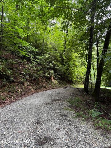 Lot 8 Vista Loop Road Road, Topton, NC 28781