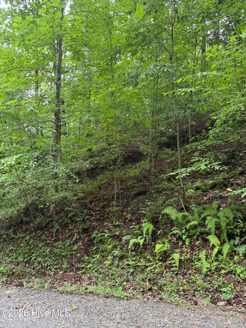Lot 8 Vista Loop Road Road, Topton, NC 28781