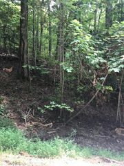 Lot 8 Vista Loop Road Road, Topton, NC 28781